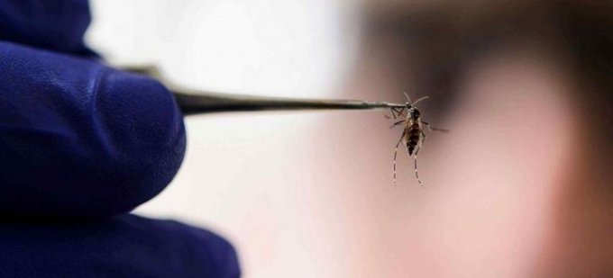 La Rioja pasó la barrera de los 5.000 casos de dengue