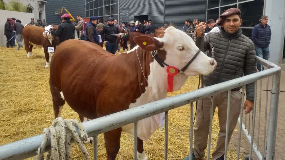 Kayne gana reconocimiento en la Expo Rural 2024 con vaquillona «Chayera»