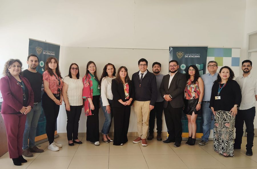Chile refuerza su estrategia de litio: El nuevo Instituto Nacional presenta su plan para compatibilizar la producción con la protección de los salares de Atacama